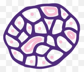 Pipeline Vertex Pharmaceuticals - Dot png