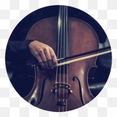Download Breakdown - Cello Png,Cello Png