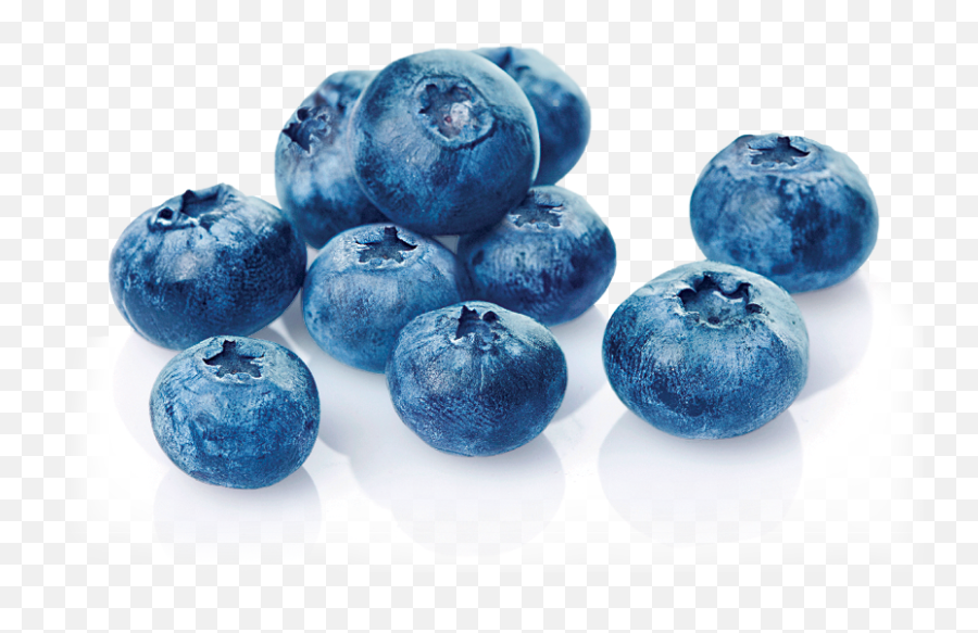 Yogurtland Purees Blueberry Puree - Fresh Png,Blueberry Text Icon