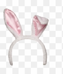 Bunny Ears Png Transparent Image