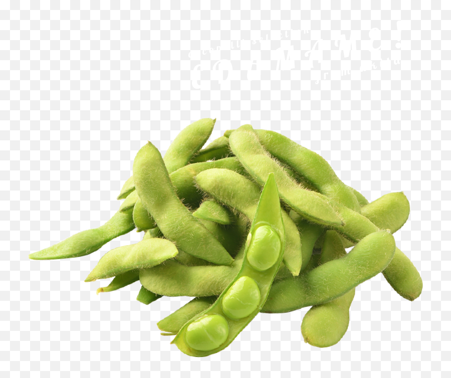 Pea Png - Transparent Background Png Mart Green Beans Edamame Png,Green Beans Png