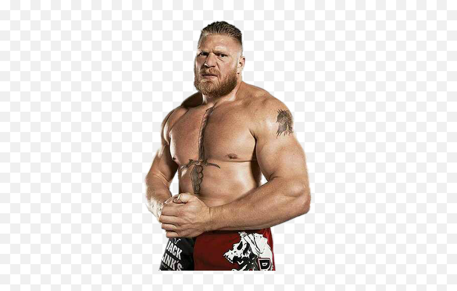 Brock Lesnar Beard Png Full Size Download Seekpng - Wwe Wrestlers Then And Now,Beard Png