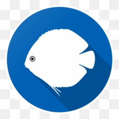 Aquarium Calculator - Sharepoint Team Site Icon 512x512 Dot png