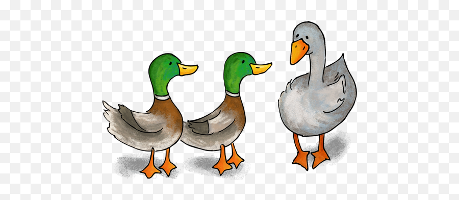 Download Duck Goose - Duck Duck Goose Png Png Image Duck Duck Goose Game,Goose Transparent