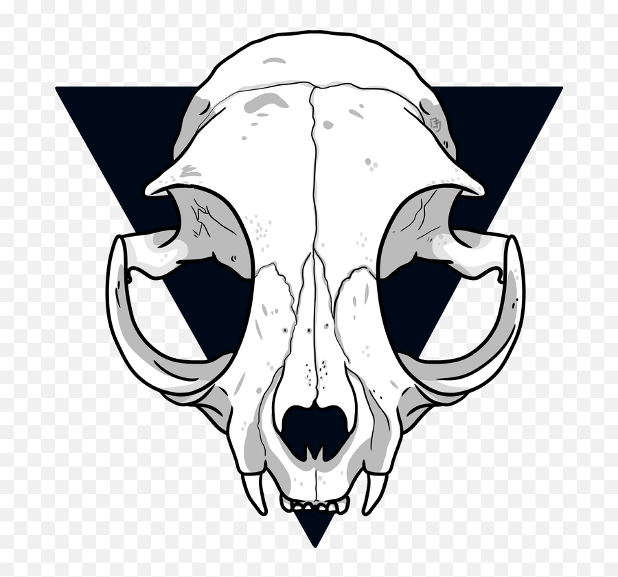 Cat Skull Drawing Free Download - Simple Cat Skull Drawing Png,Cartoon Skull Png