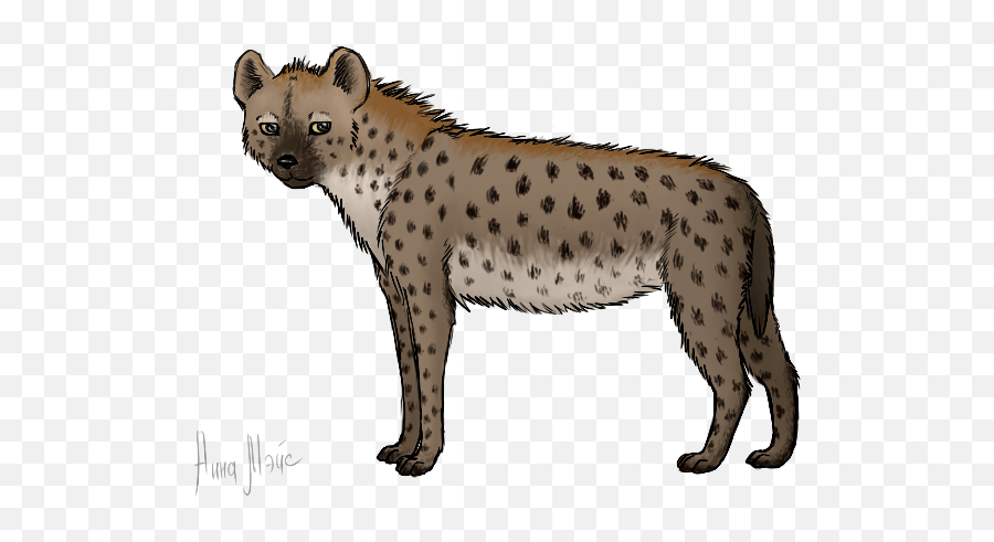 Hyena Png Alpha Channel Clipart Images - Hiena Animada Png,Hyena Png