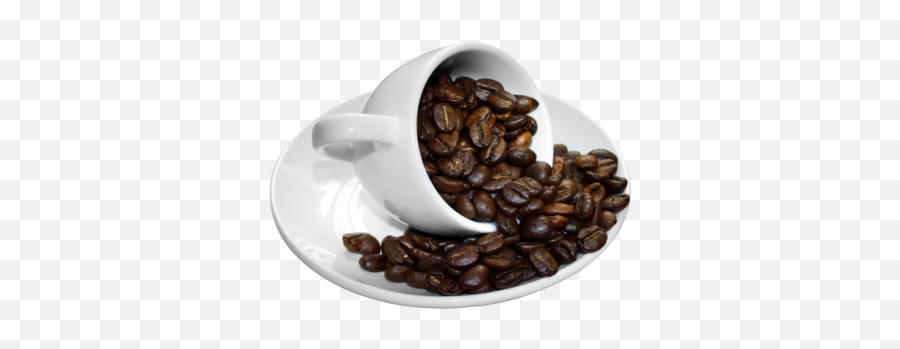 Download Coffee Beans Cup - Coffee Cup Beans Transparent Background Png,Coffee Beans Transparent