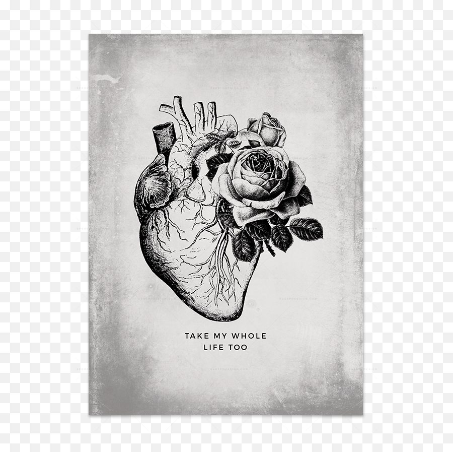 Falling Love Heartpng Anatomical In Art Prints - Can T Help Falling In Love Dibujo,Falling Hearts Png