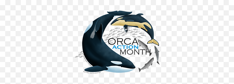 Orca Action Month Hungry For Change - Killer Whale Png,Orca Png