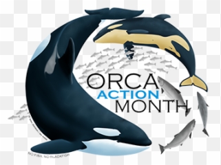 Orca Action Month Hungry For Change - Killer Whale Png,Orca Png