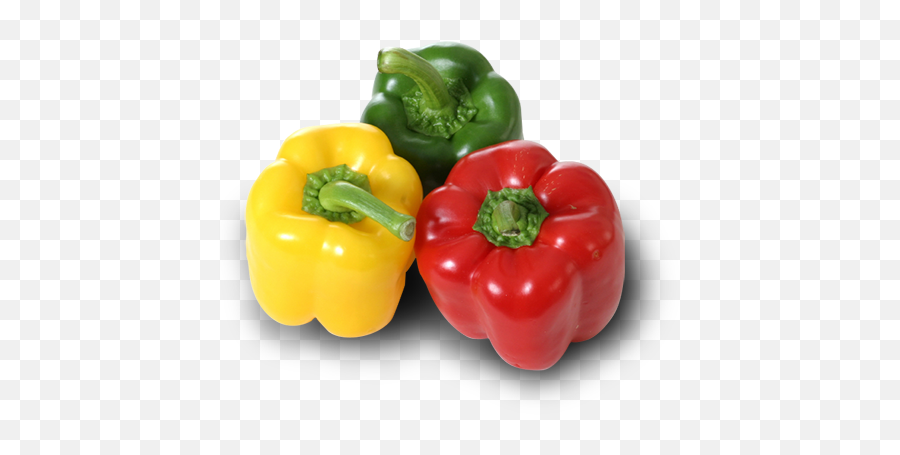 Index Of Fmkickstrapimgproducts - Bell Peppers Png,Bell Pepper Png