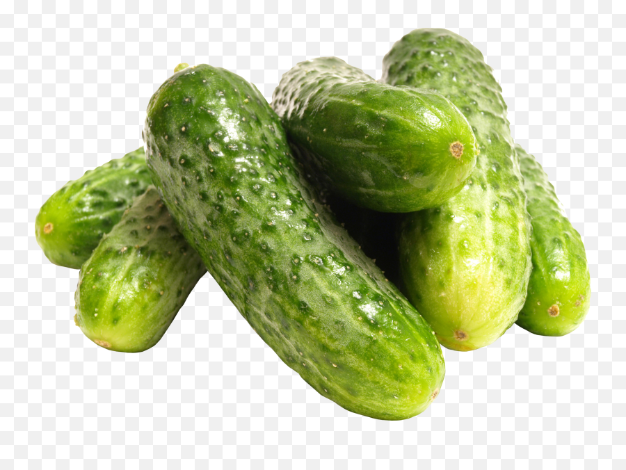 Cucumber Png Free Download 29 Images - Cucumbers Png,Gourd Png