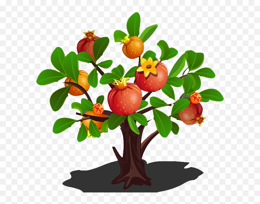 Green Clipart Apple Tree - Pomegranate Tree Clipart Png,Fruit Tree Png