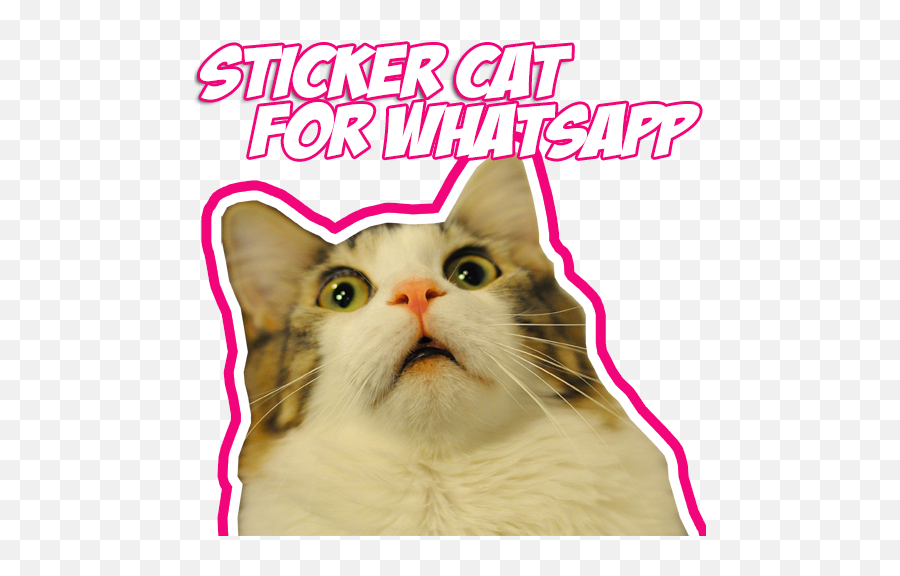 App Insights Wastickersapps Funny Cat For Whatsapp Apptopia - Funny Cat Stickers Whatsapp Png,Funny Cat Png