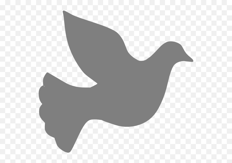 Download Grey Love Dove - Grey Dove Clipart,Dove Png
