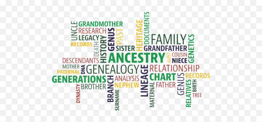 3 Free Genealogy U0026 Family Tree Vectors - Pixabay Family History Month Png,Family Word Png