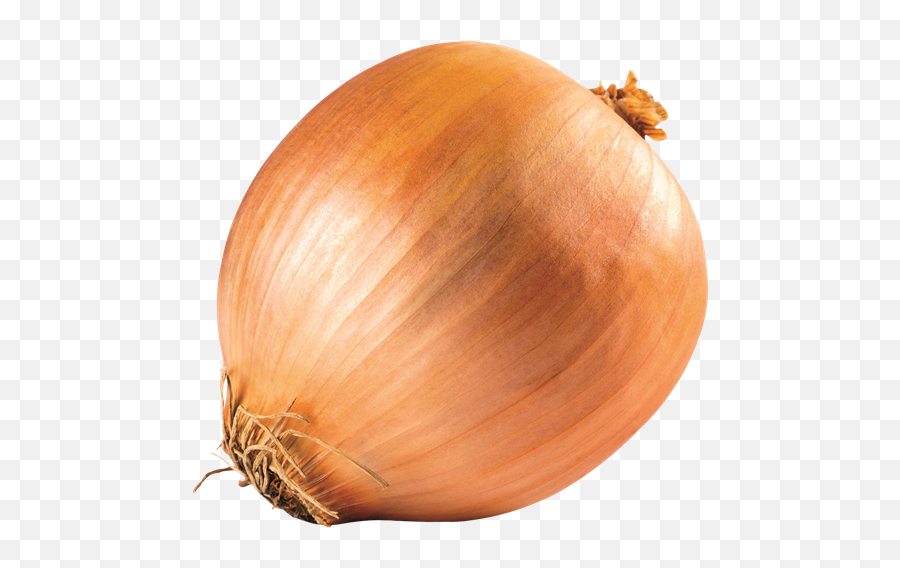 Yellow Onions - Yellow Onion Png,Onion Transparent Yellow Onions - Yellow Onion Png,Onion Transparent