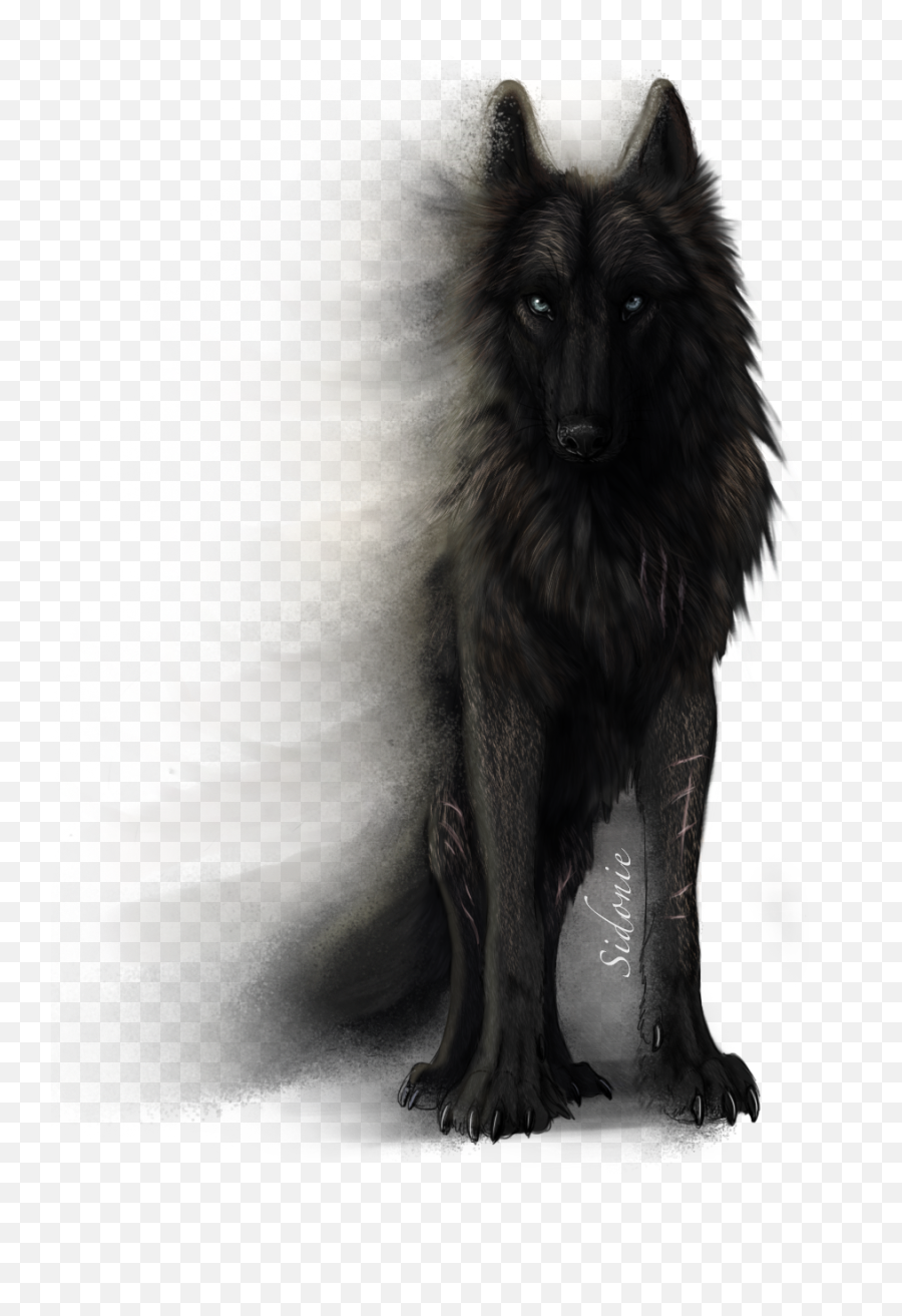 Sidonie - Anime Anime Transparent Wolf Png,Black Dog Png