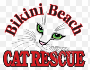 Bikini Beach Cat Rescue - Asian png
