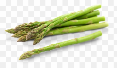 Download Asparagus Png Photos