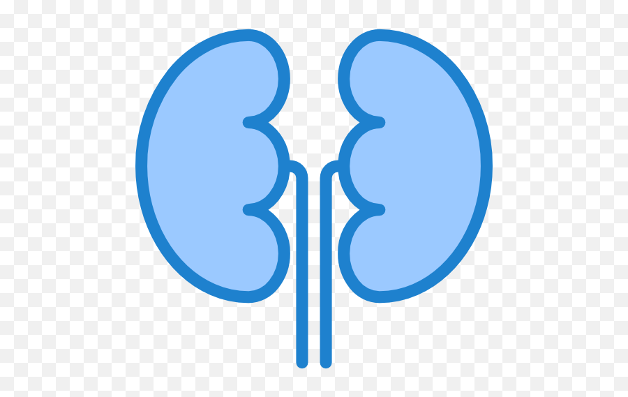 Kidneys - Free Medical Icons Kidney Icon Blue Free Png,Kidney Png