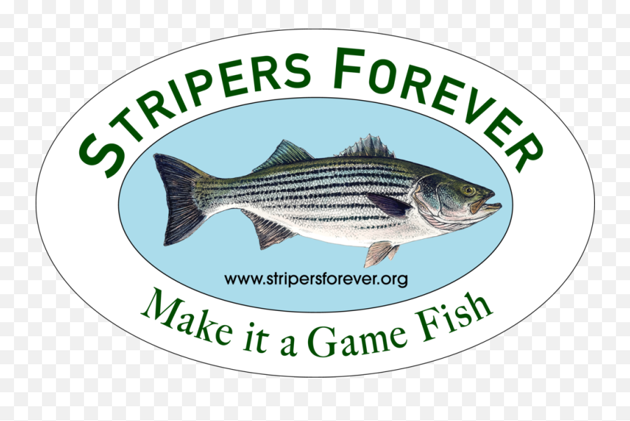 Partners U2014 Keep Fish Wet - Stripers Forever Png,Bass Fish Logo