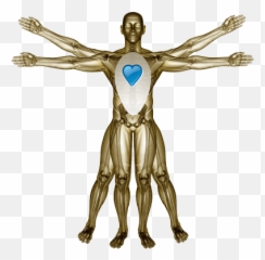 Vitruvian - mangold HeadStrongPerformance Vein png