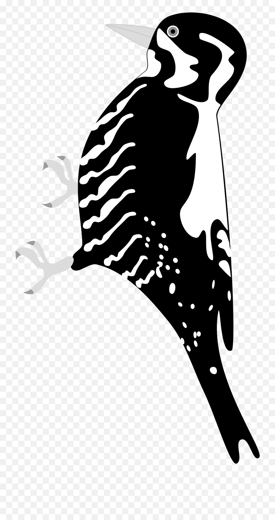 This Free Icons Png Design Of Three - Toed Woodpecker Full Woodpecker On Tree Png,Woodpecker Png