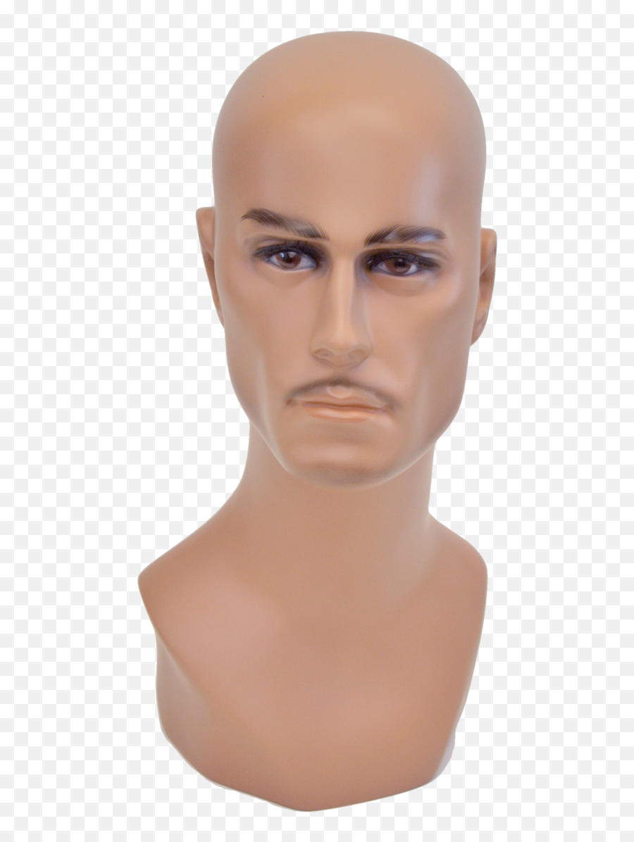 Buy Display Male Mannequin Head - Hair Loss Png,Mannequin Head Png