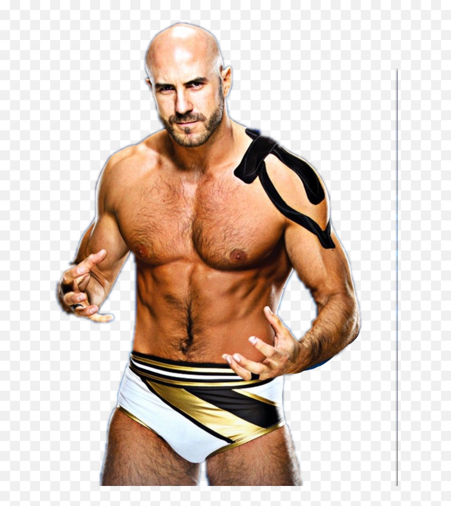 Cesaro Png Images In Collection - Cesaro Render,Cesaro Png