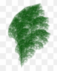 Fractal Plants U2014 Disquiet - Drawing Of A Bush Png,Fractal Png