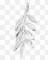 Olive Branch For Calm - Solid png