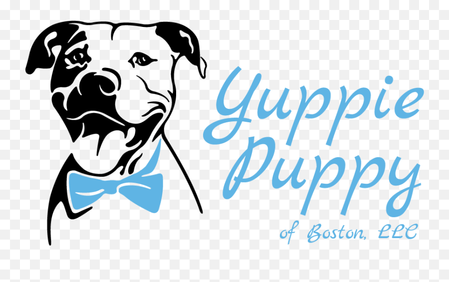 Yuppie Puppy Of Boston Dog Walking Pet Sitting - Language Png,Puppy Love Icon
