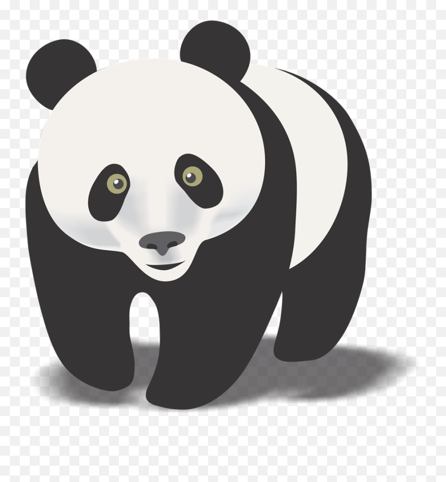Panda Png Animal Images Bear - Panda Bear Clipart Black And White,Cute Panda  Png - free transparent png images 