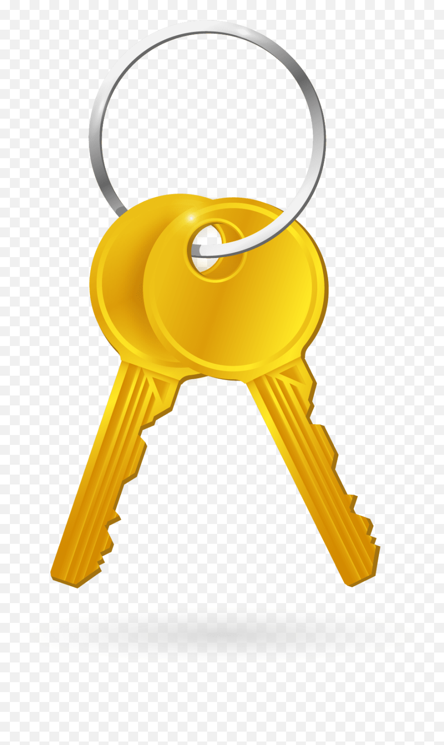 Downloads - Parrot Digital Marketing Desenho De Chave Freepik Png,Gold Key Icon