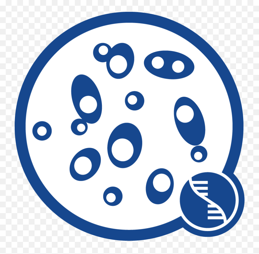 Free Sample Kits Lp - Dna Extraction Icon Png,Sample Size Icon