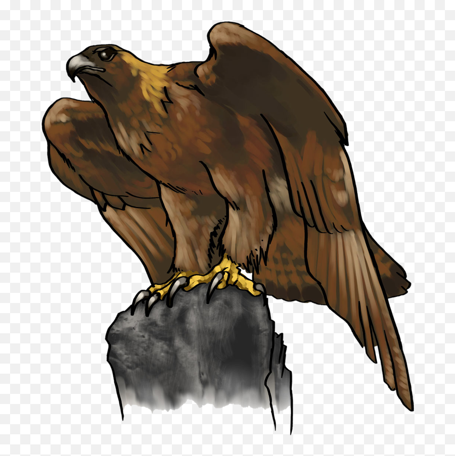Head Clipart Golden Eagle Transparent - Logo Eagle Clip Art Png,Eagle Head Png