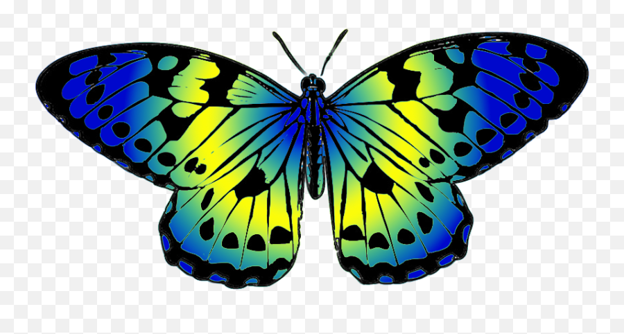Butterfly Clipart - Colorful Butterflies Clip Art Png,Art Clipart Png