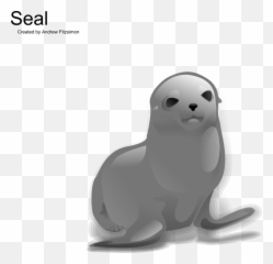Seal 2 Clip Art - Vector Clip Art Online Seal Clip Art Png,Seal Png