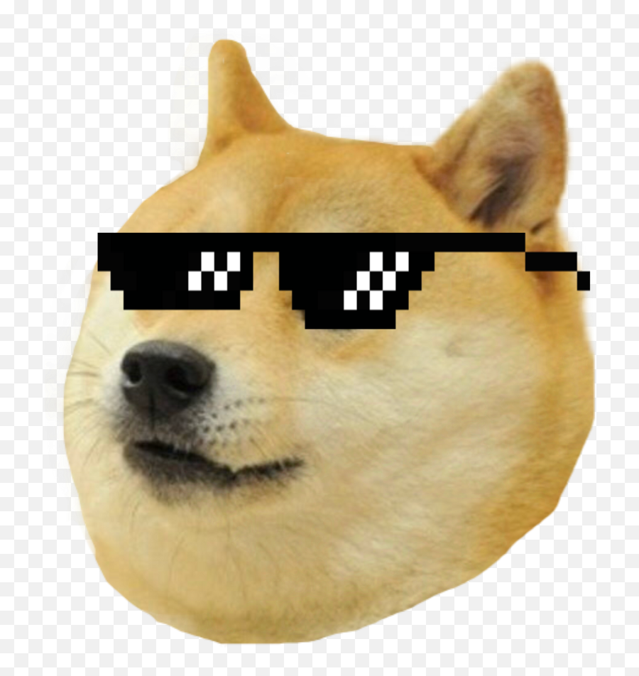 Download Thug Life Meme Dog Png Image - Doge Png,Doge Transparent Background