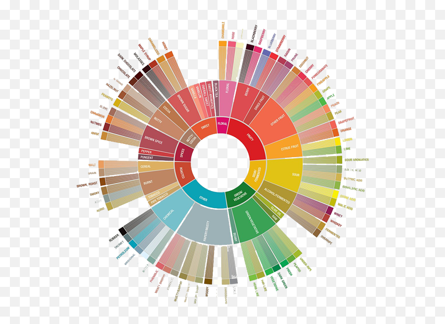 Sca Color Wheel U2013 Coffee Courses - Espresso Shot Correction Diagram Png,Color Wheel Png