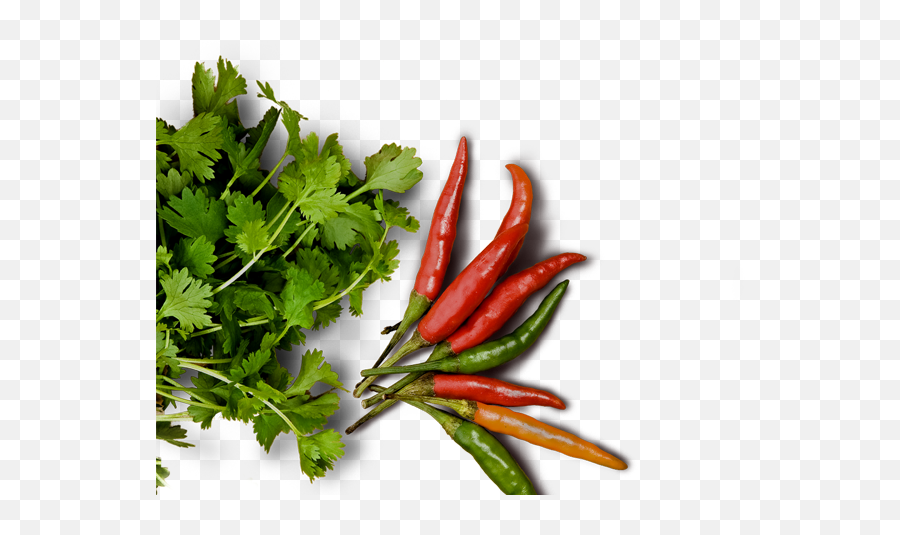 Hq Food Png Fast Pictures And Clipart Free Download - Chilli Png,Grass Top View Png