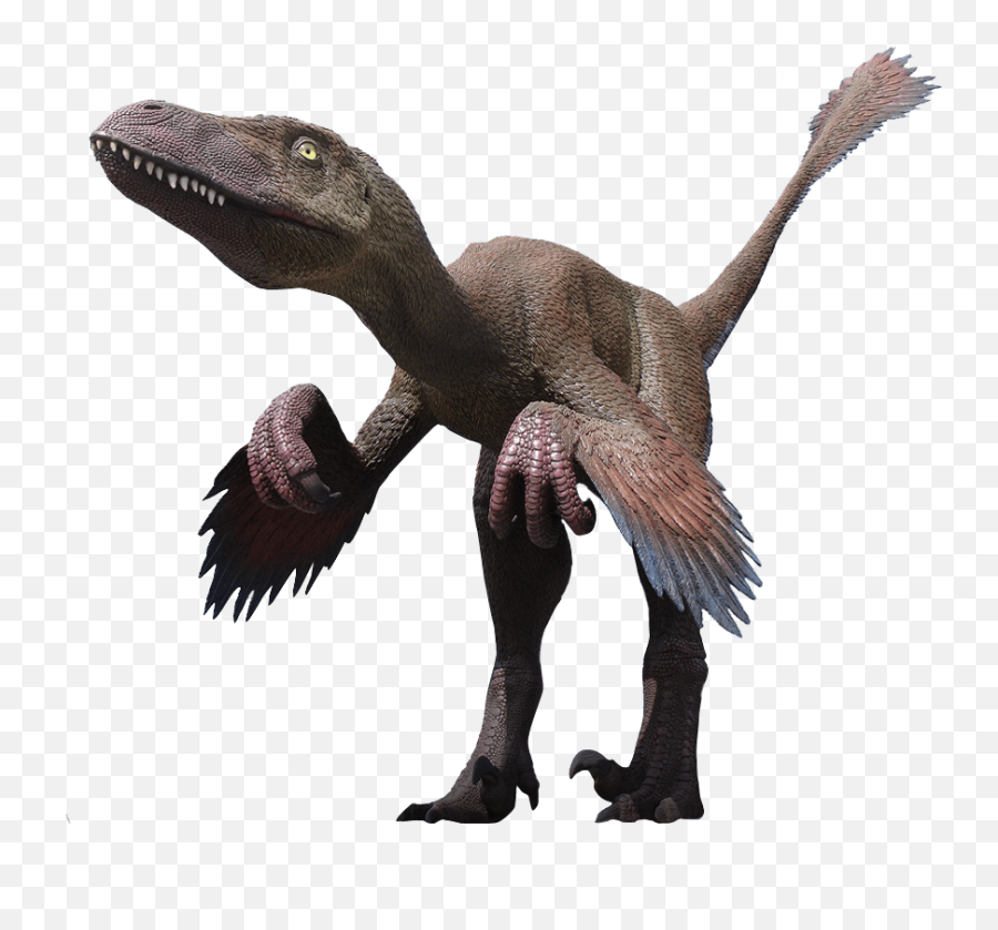 Velociraptor Png Clipart - Deinonychus Png,Velociraptor Png