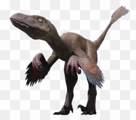 Velociraptor Png Clipart - Deinonychus Png,Velociraptor Png