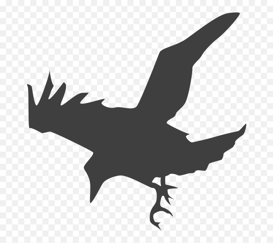 Flying Crow Png Black And White Transpar 218584 - Png Raven Silhouette,Crow Transparent