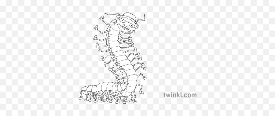 Centipede James And The Giant Peach Characters Ks2 Black - Millipedes Png,Centipede Png