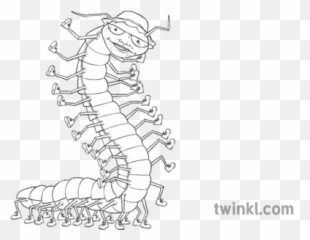 Centipede James And The Giant Peach Characters Ks2 Black - Millipedes Png,Centipede Png