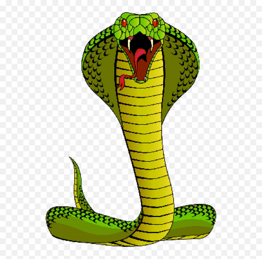 Cobra Snake Clipart - Cobra Snake Clip Art Png,King Cobra Png