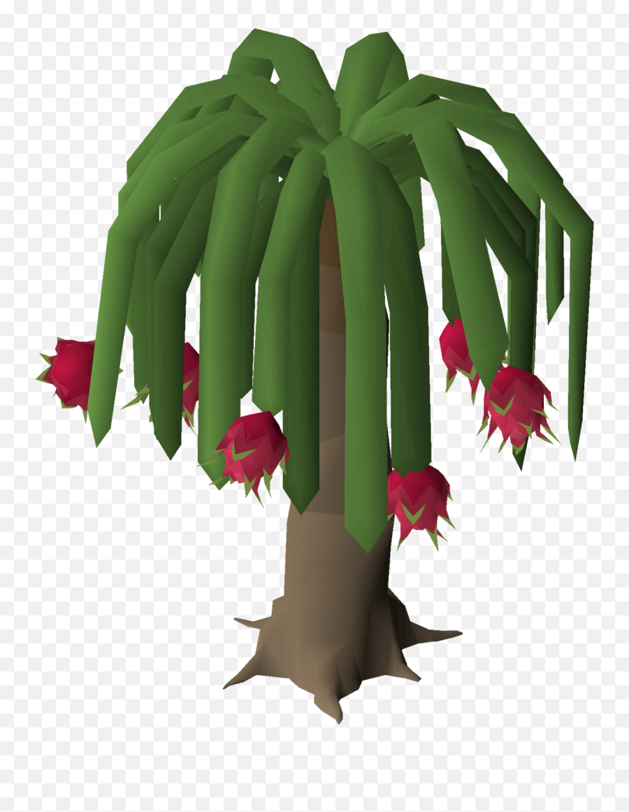 Dragonfruit Tree - Dragonfruit Tree Runescape Png,Fruit Tree Png