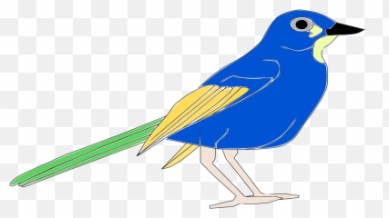 Bluejay Drawing Logo Blue Jays - Pajaro Clipart Png,Blue Jay Png